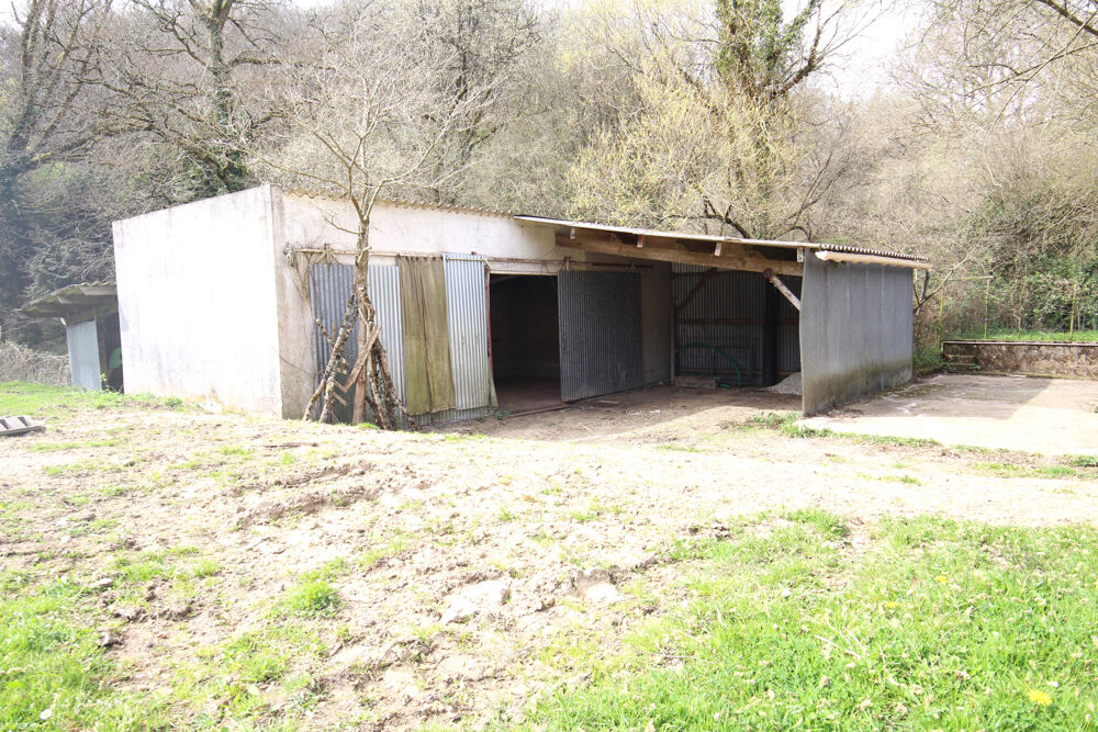 Vente Maison Maison avec dépendances et 10 000 m2 de terrain agricole. St ave