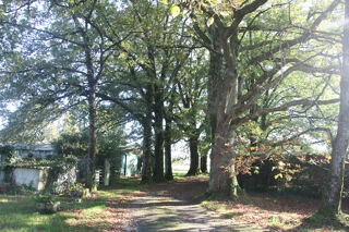  Maison � vendre 7 pi�ces 126 m�