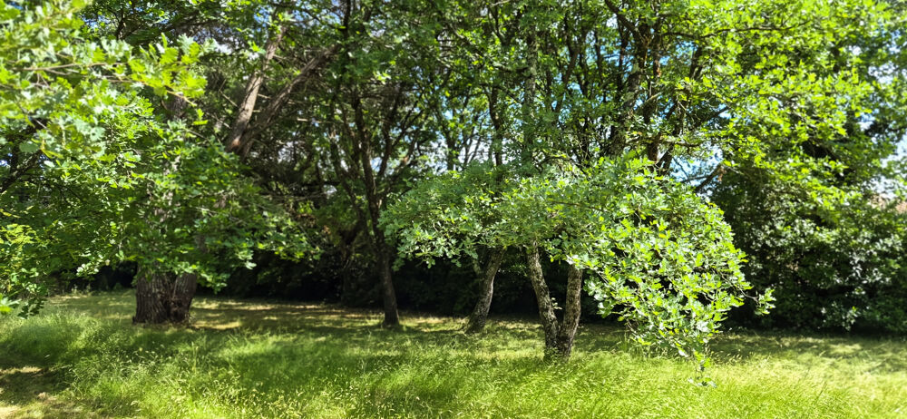 Vente Terrain À vendre, magnifique terrain à bâtir de 1 011 m2 proche d'Uzès Uzes