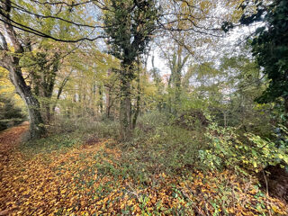  Terrain  vendre 1600 m