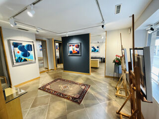  Immeuble � vendre 9 pi�ces 305 m�