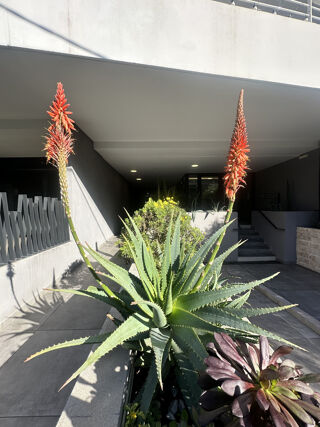  Appartement � vendre 1 pi�ce 31 m�