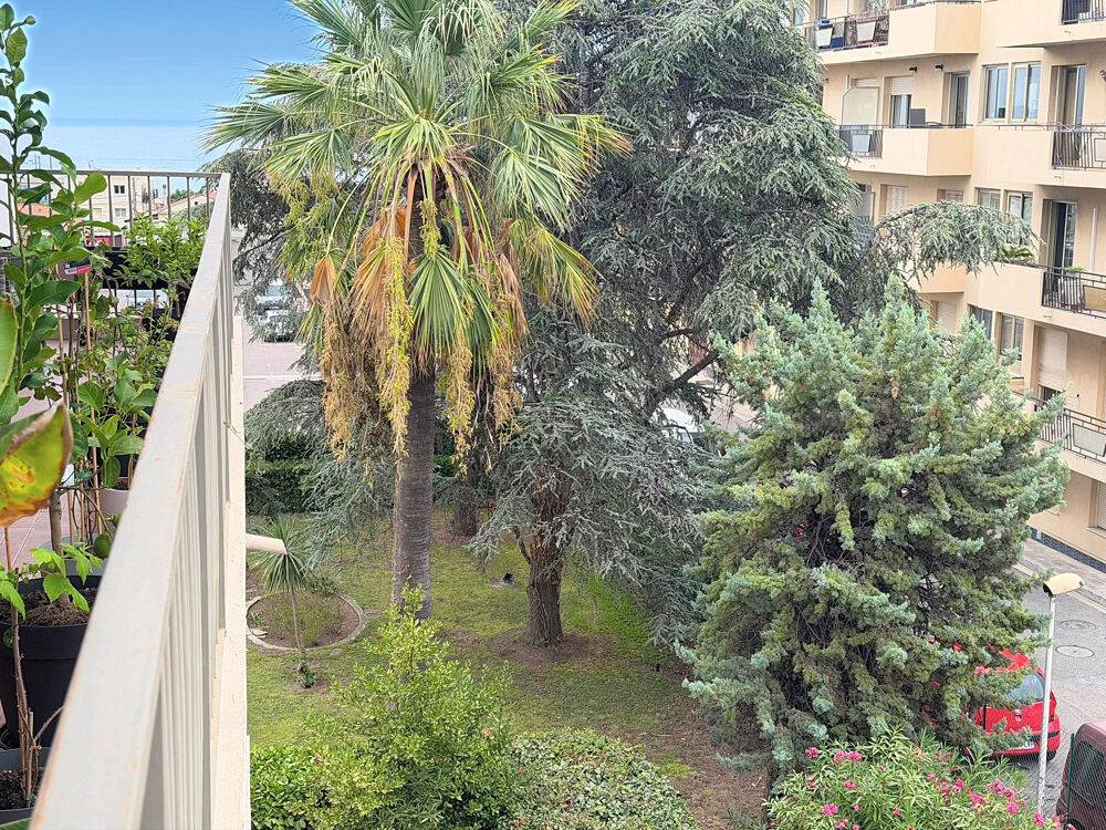 Vente Appartement ANTIBES EST   STUDIO LOUÉ AVEC TERRASSE   IDÉAL INVESTISSEUR Antibes