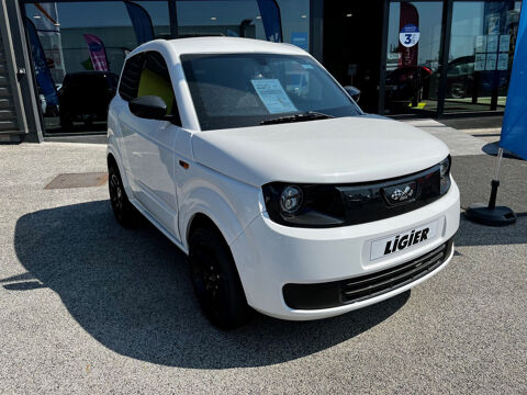 Annonce voiture Voiture sans permis Voiture sans permis 15398 