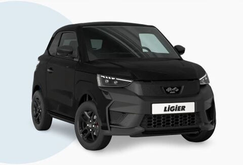 Voiture sans permis Voiture sans permis 2025 occasion Puget-sur-Argens 83480