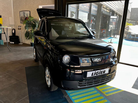 Voiture sans permis Voiture sans permis 2024 occasion Puget-sur-Argens 83480