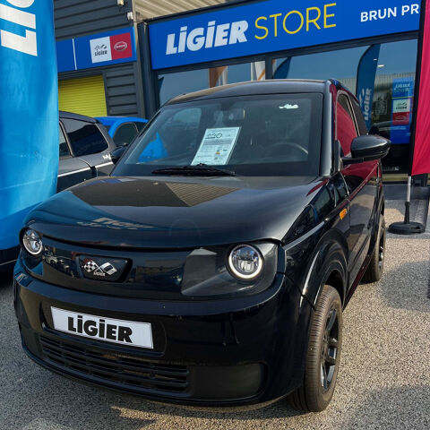 Voiture sans permis Voiture sans permis 2024 occasion Puget-sur-Argens 83480