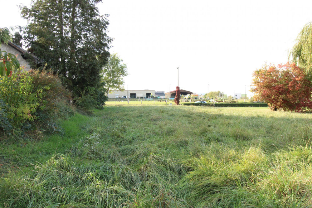 Vente Terrain Terrain constructible de 6ares20 à Sillegny Sillegny