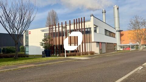 Bureaux - A LOUER - 273 m&sup2; divisibles &agrave; partir de 115 m&sup2; 3110 67200 Strasbourg