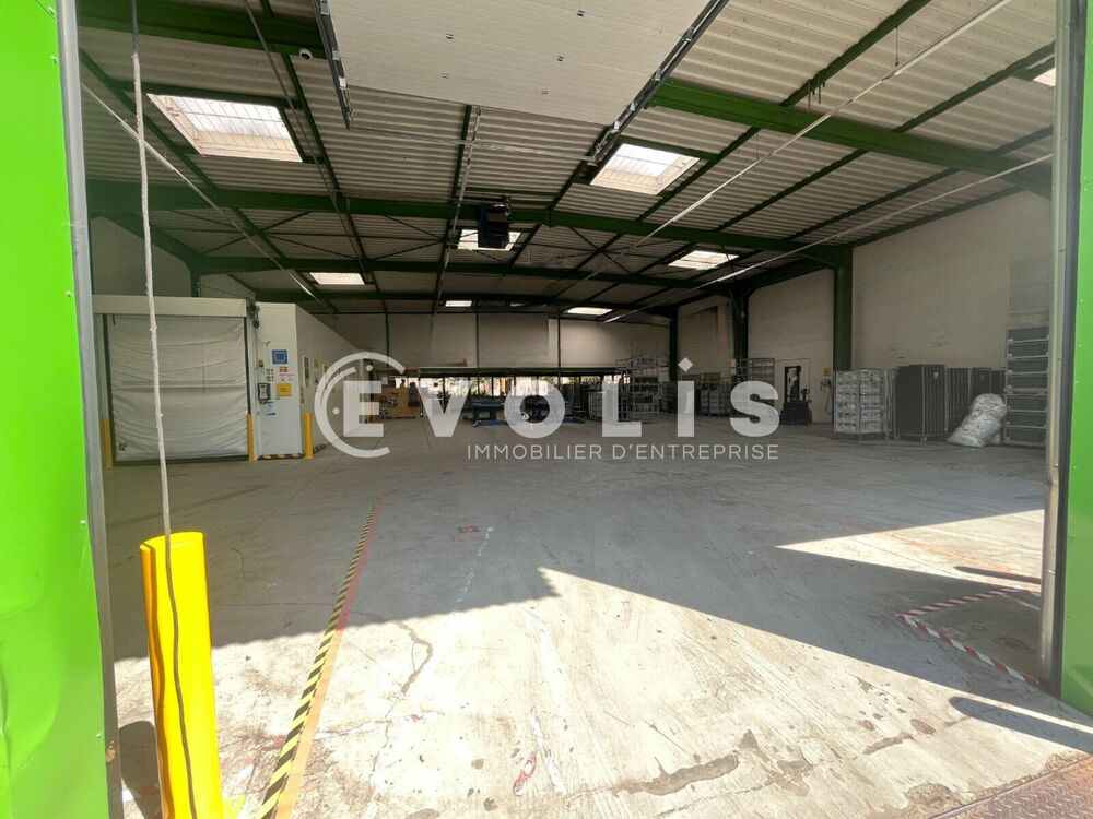   Locaux d'activité - A LOUER - 844 m² non divisibles Saint thibault des vignes
