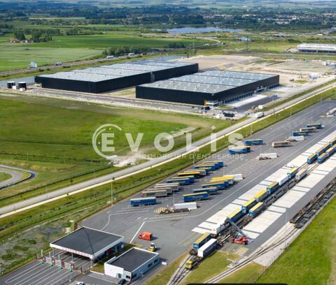   Entrepôts - A LOUER - 24 980 m² divisibles à partir de 6 245 m² 