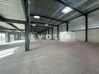   Locaux d'activité - A LOUER - 2 073 m² divisibles à partir de 474 m² Wasquehal