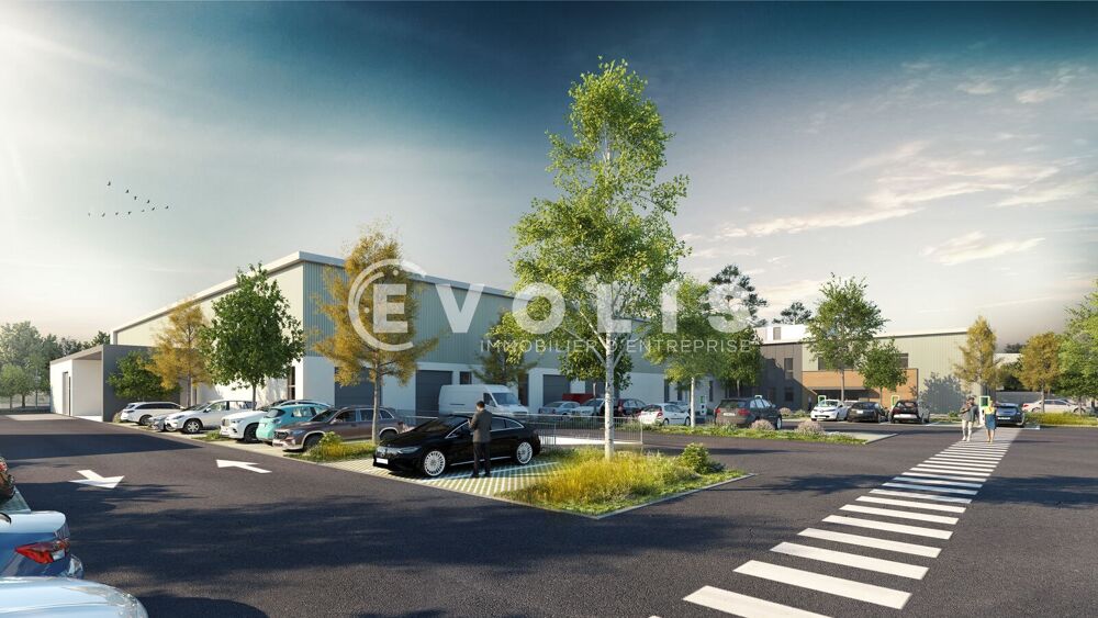   Locaux d'activité - A LOUER - 28 207 m² divisibles à partir de 449 m² 