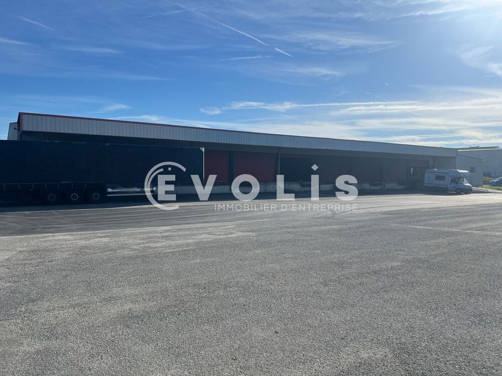   Locaux d'activité - A LOUER - 900 m² non divisibles 