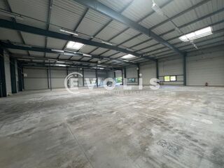   Locaux d'activité - A LOUER - 18 729 m² divisibles à partir de 1 370 m² Les ulis
