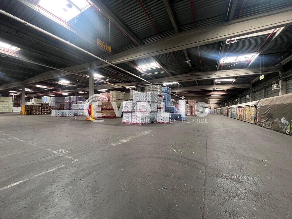   Locaux d'activité - A LOUER - 35 846 m² divisibles à partir de 5 966 m² Saint quentin fallavier