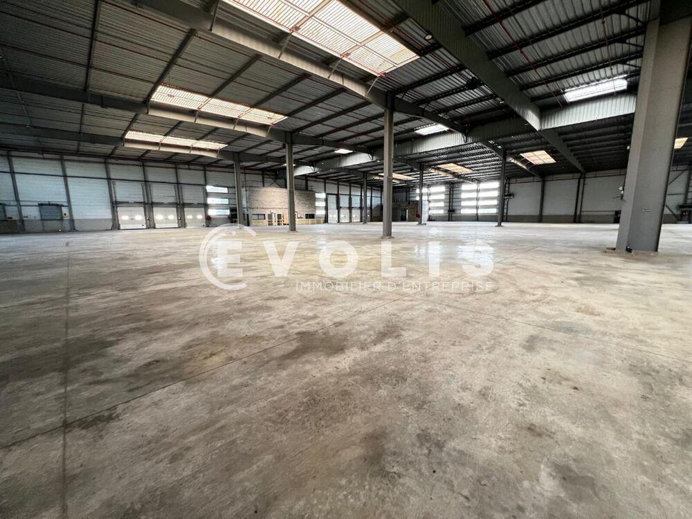   Locaux d'activité - A LOUER - 6 734 m² non divisibles Saint michel sur orge