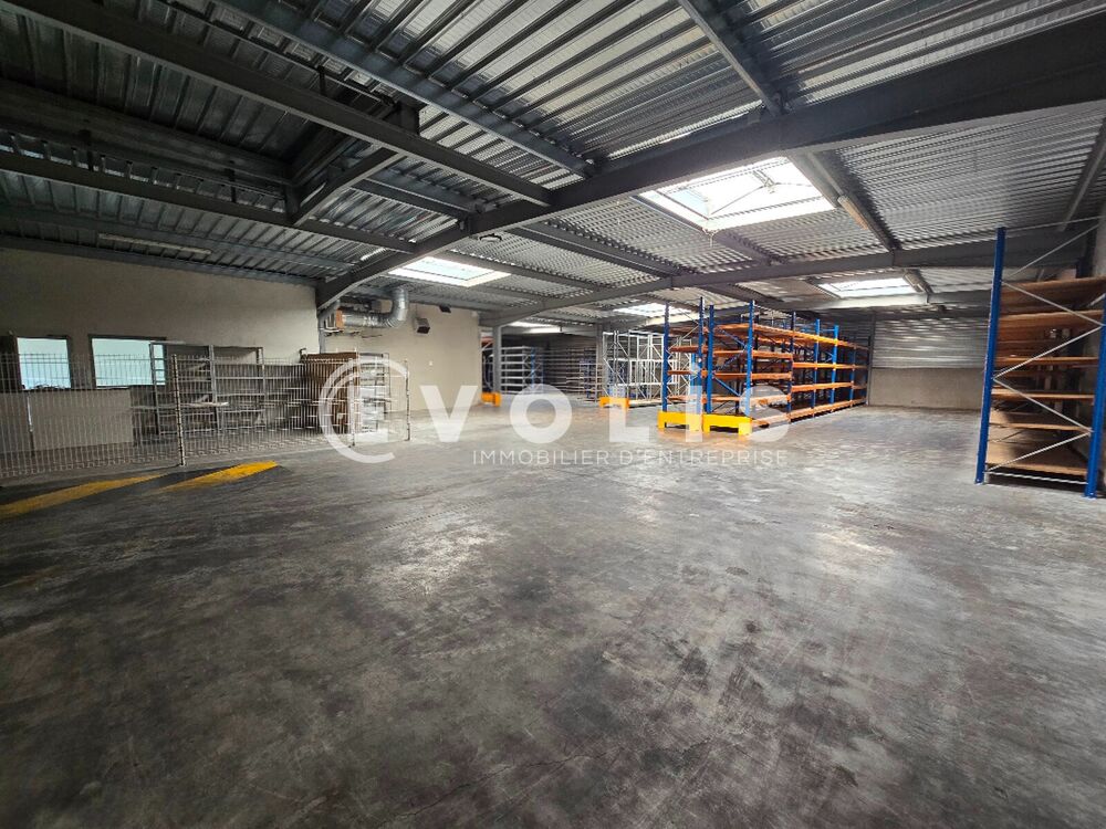   Locaux d'activité - A LOUER - 955 m² non divisibles 