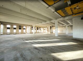   Locaux d'activité - A LOUER - 507 m² non divisibles Rungis