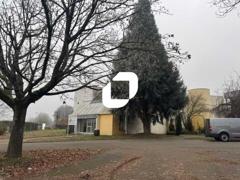 IDEAL POUR DES ACTIVITES DE SERVICES - 1&nbsp;156 m&sup2; non divisibles 850000 67160 Wissembourg