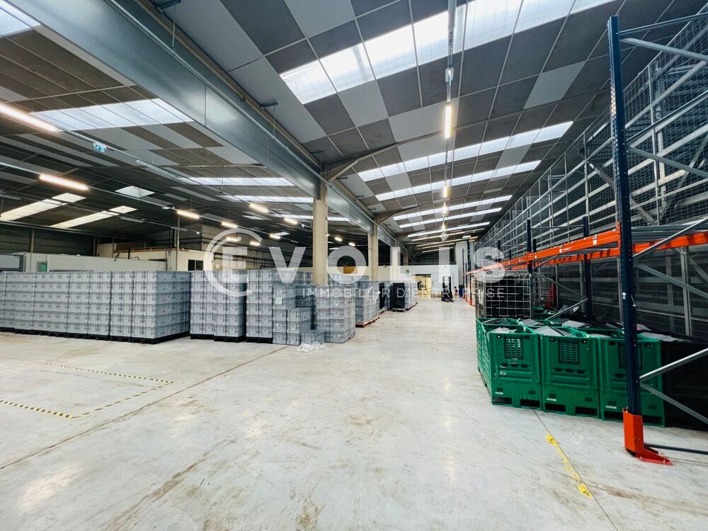   Locaux d'activité - A LOUER - 3 715 m² non divisibles Neuilly sur marne