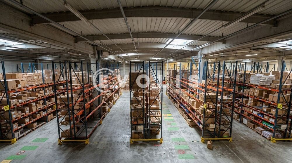   Locaux d'activité - A LOUER - 6 780 m² non divisibles Bondoufle