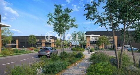   Locaux d'activité - A LOUER - 11 573 m² divisibles à partir de 292 m² 