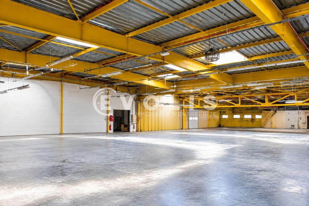   Locaux d'activité - A LOUER - 3 009 m² non divisibles Les ulis