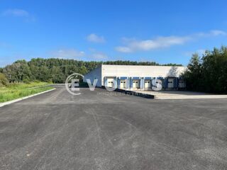   Locaux d'activité - A VENDRE - 6 094 m² divisibles à partir de 2 705 m² Halluin