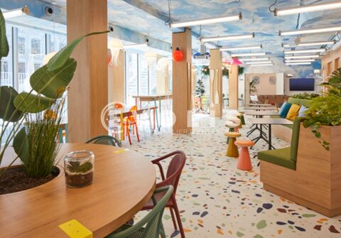 Bureaux - A LOUER - 1&nbsp;553 m&sup2; non divisibles 183680 75013 Paris