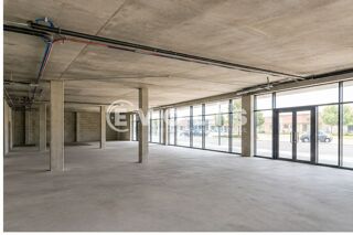   Locaux commerciaux - A LOUER - 185 m² non divisibles Talence