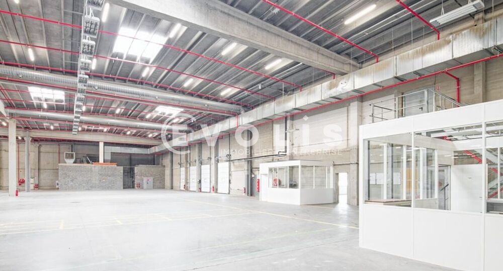   Locaux d'activité - A LOUER - 11 215 m² divisibles à partir de 5 144 m² Templemars