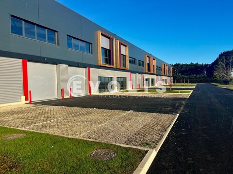 Locaux d'activité - A LOUER - 9 527 m² divisibles à partir de 424 m² 81691 91630 Avrainville