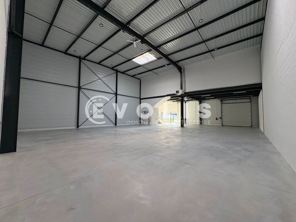   Locaux d'activité - A LOUER - 4 989 m² divisibles à partir de 375 m² Chalifert