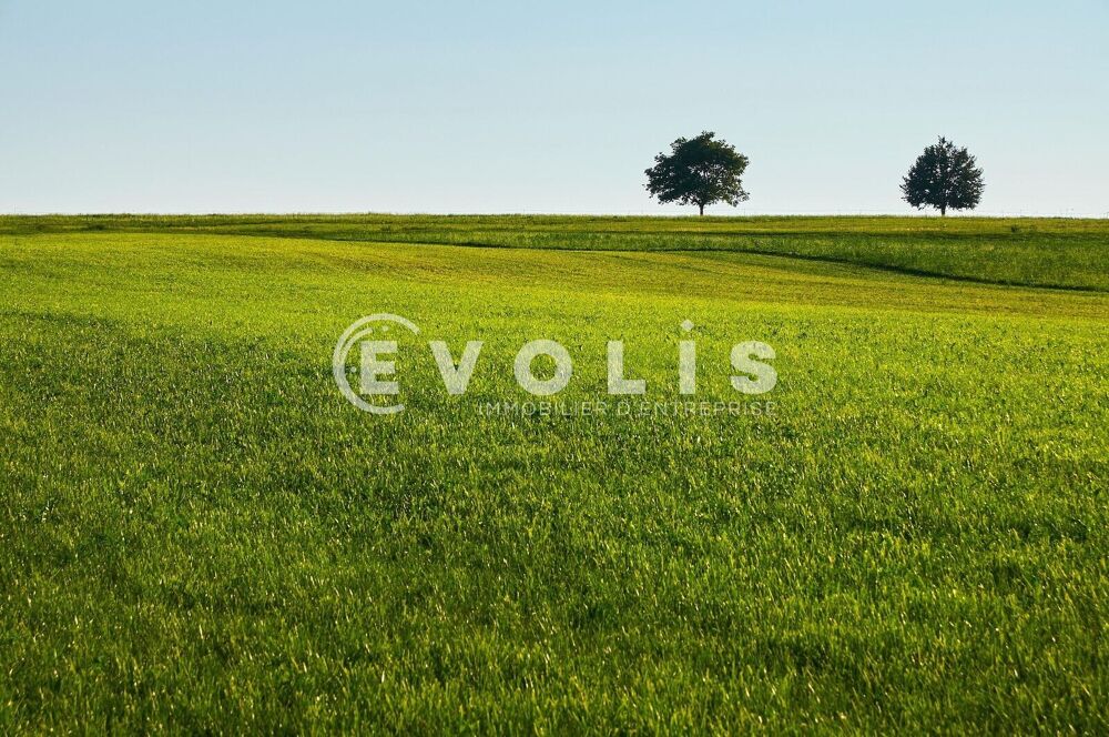   Terrain - A VENDRE - 2 288 m² non divisibles Audenge