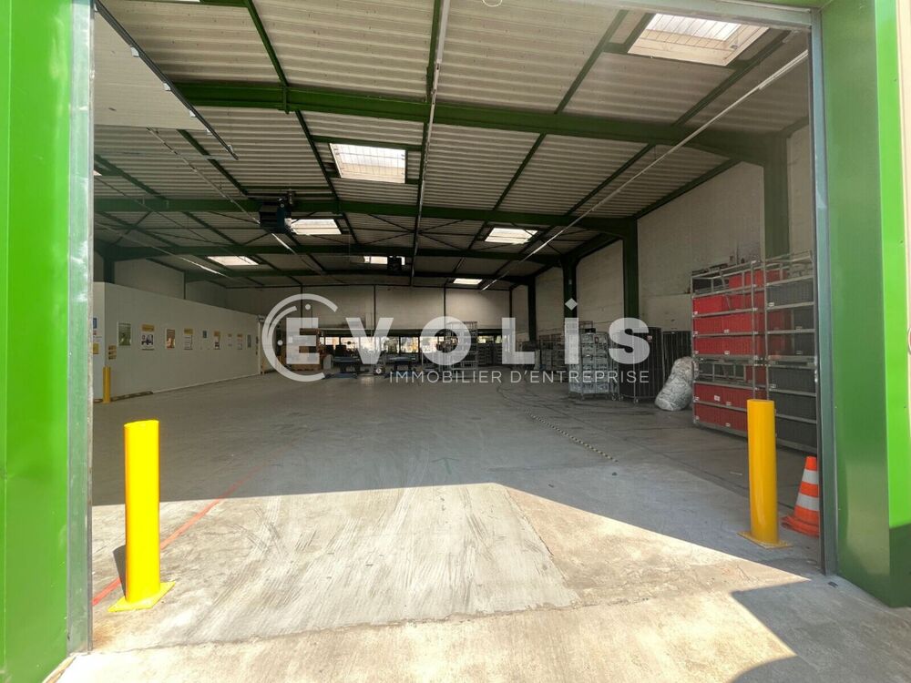   Locaux d'activité - A LOUER - 844 m² non divisibles Saint thibault des vignes