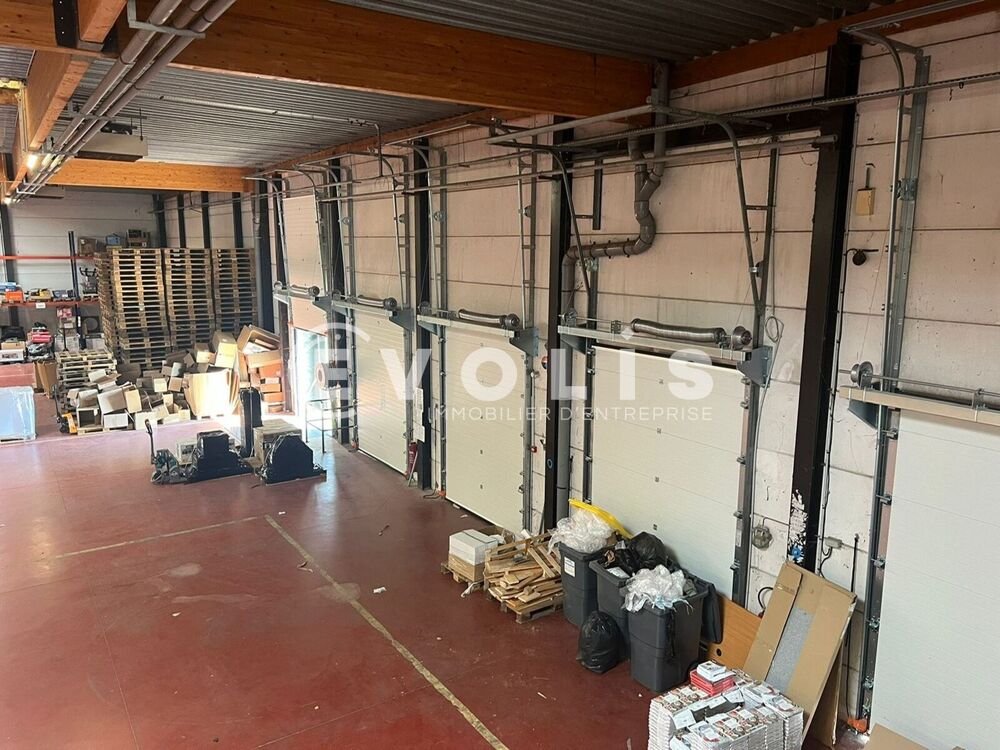   Locaux d'activité - A LOUER - 6 094 m² divisibles à partir de 2 705 m² Halluin