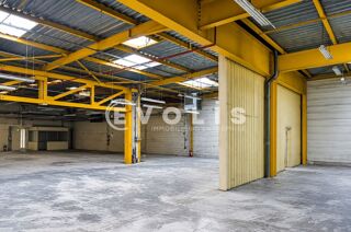   Locaux d'activité - A LOUER - 3 009 m² non divisibles Les ulis