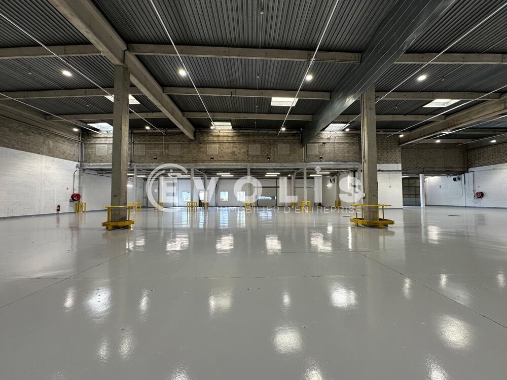   Locaux d'activité - A LOUER - 9 711 m² divisibles à partir de 80 m² 