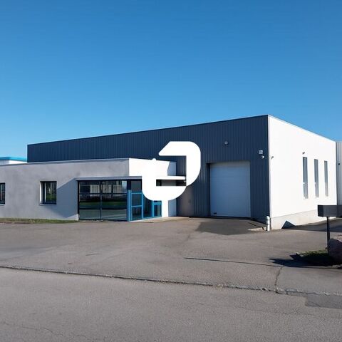 Locaux d'Activit&eacute;s - A LOUER - 1&nbsp;062 m&sup2; non divisibles 5781 44470 Thouare sur loire