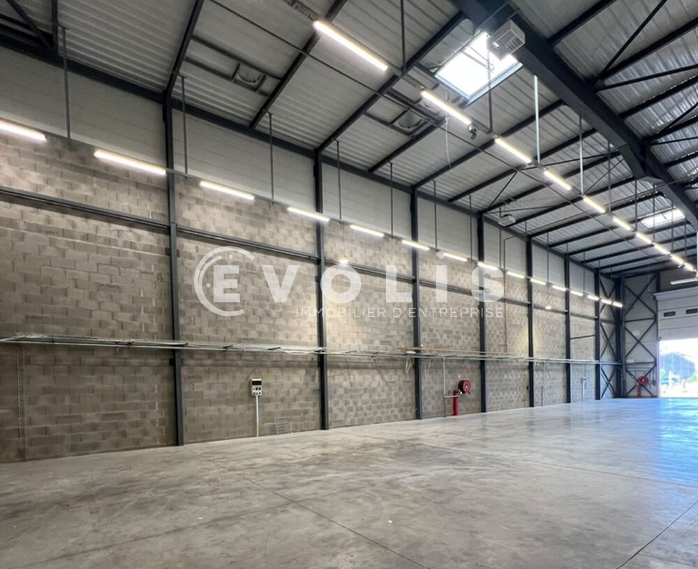   Locaux d'activité - A LOUER - 564 m² non divisibles Dagneux