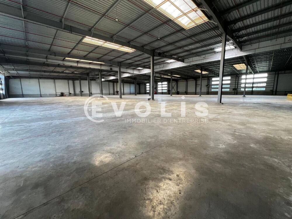   Locaux d'activité - A LOUER - 6 734 m² non divisibles Saint michel sur orge
