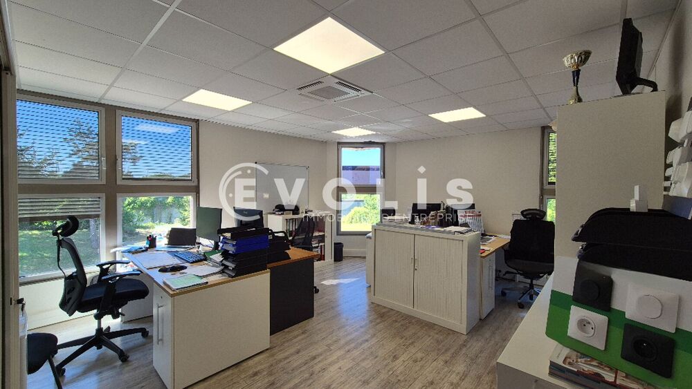   Locaux d'activité - A LOUER - 1 290 m² non divisibles Torcy