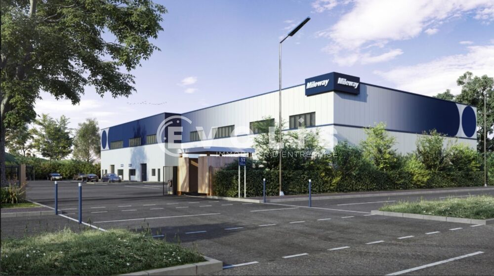   Locaux d'activité - A LOUER - 1 189 m² non divisibles 
