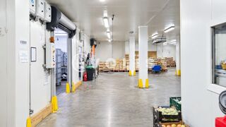   Locaux d'activité - A LOUER - 1 575 m² non divisibles Vitry sur seine
