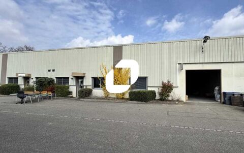 Locaux d'Activit&eacute;s - A LOUER - 320 m&sup2; non divisibles 2500 67300 Schiltigheim