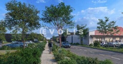   Locaux d'activité - A LOUER - 11 573 m² divisibles à partir de 292 m² 