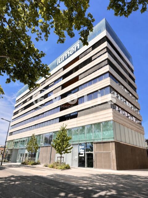 CW Priv&eacute; - A LOUER - 50 Postes 100000 69002 Lyon