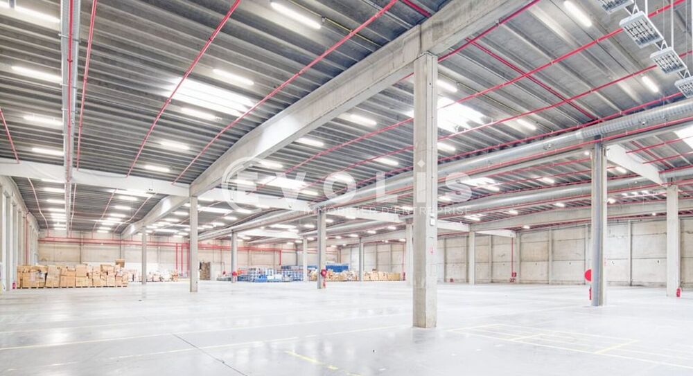   Locaux d'activité - A LOUER - 11 215 m² divisibles à partir de 5 144 m² Templemars