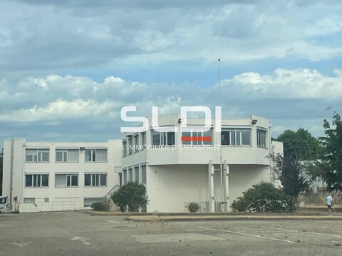 Bureaux - A LOUER - 1&nbsp;175 m&sup2; divisibles &agrave; partir de 175 m&sup2; 10125 69680 Chassieu